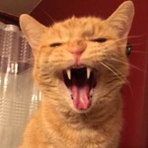 Meet your Posher, Stacey